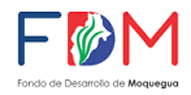 FDM
